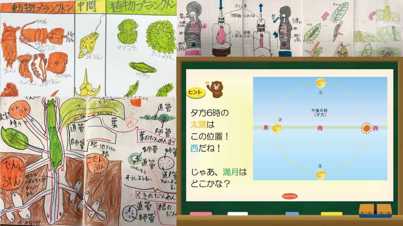 理科のSTEPクラス授業風景