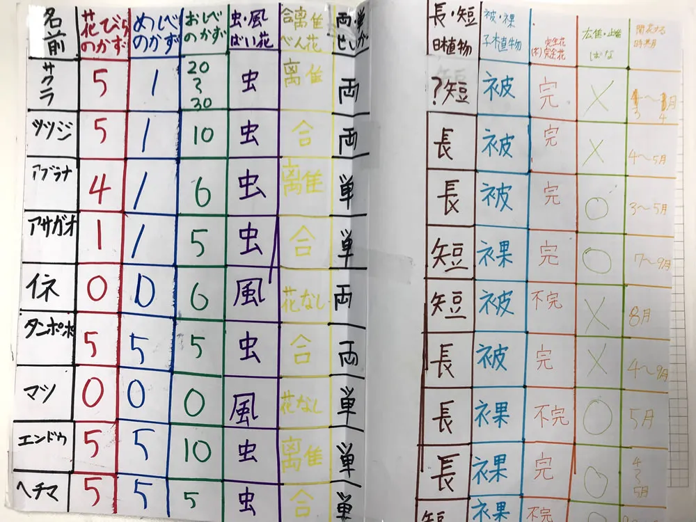 花の種類を調べてみたよ(小2)の記事アイキャッチ